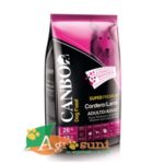 Canbo Adulto Cordero Razas Grandes x 3 kg
