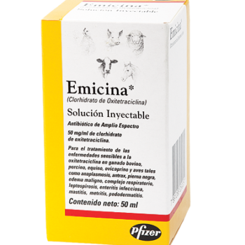 Emicina