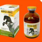 Ketodec 10%