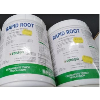 Rapid Root