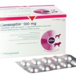 Clavaseptin 500mg