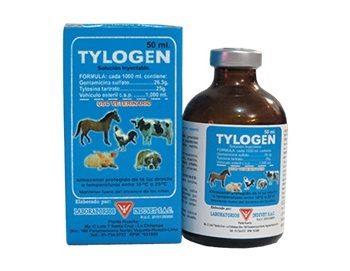 Tylogen