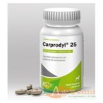 Carprodyl 25mg