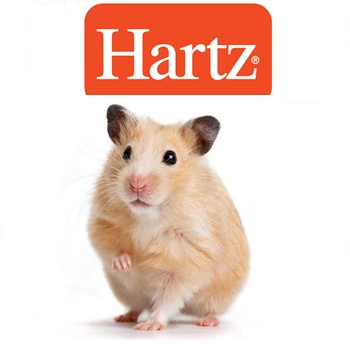 https://www.agrosuni.com/wp-content/uploads/2019/08/hamster-hartz.jpg
