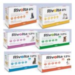 Rivolta
