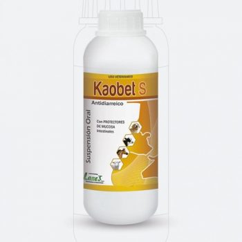 Kaobet S