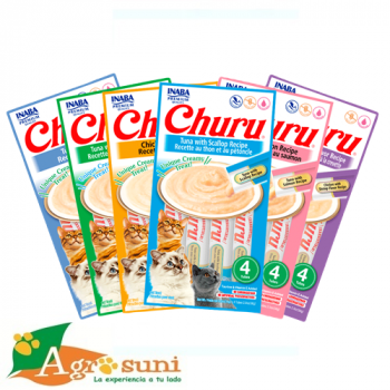 Churu